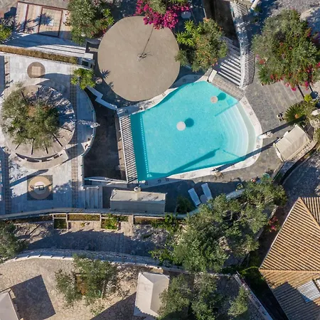 Paco's Superior 7 Oziás